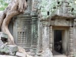 The Ta Prohm Temple is one of the most famous sites and tourist destinations in Cambodia. Nestled in the dense Cambodian jungle, the temple was constructed in 1186 A.D.